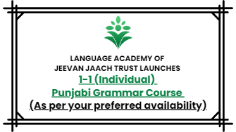 1-1 (individual) Advance Language- Punjabi Grammar/vyakaran (27 sessions)